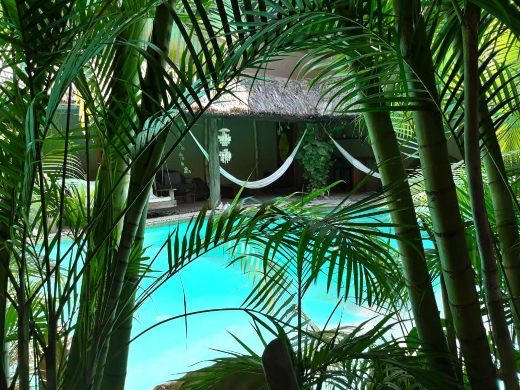 Villas Adriana, Palenque Dış mekan fotoğraf